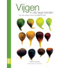 Vijgen in de lage landen